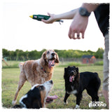 a man playing with a military dog toy with three dogs in a grassy field representing veterans day gift shopping guide and what to get him