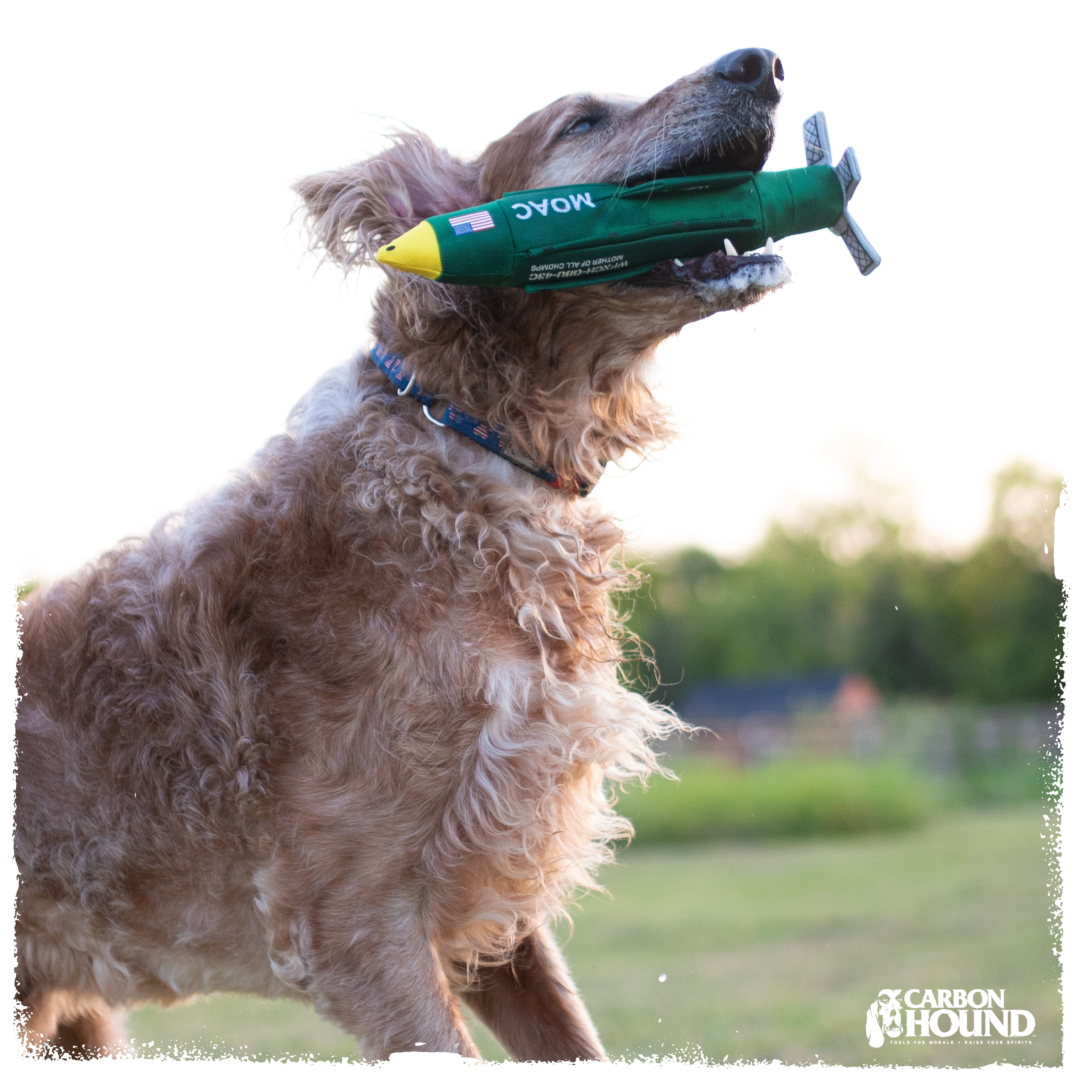 MOAC | MOAB Bomb Dog Toy