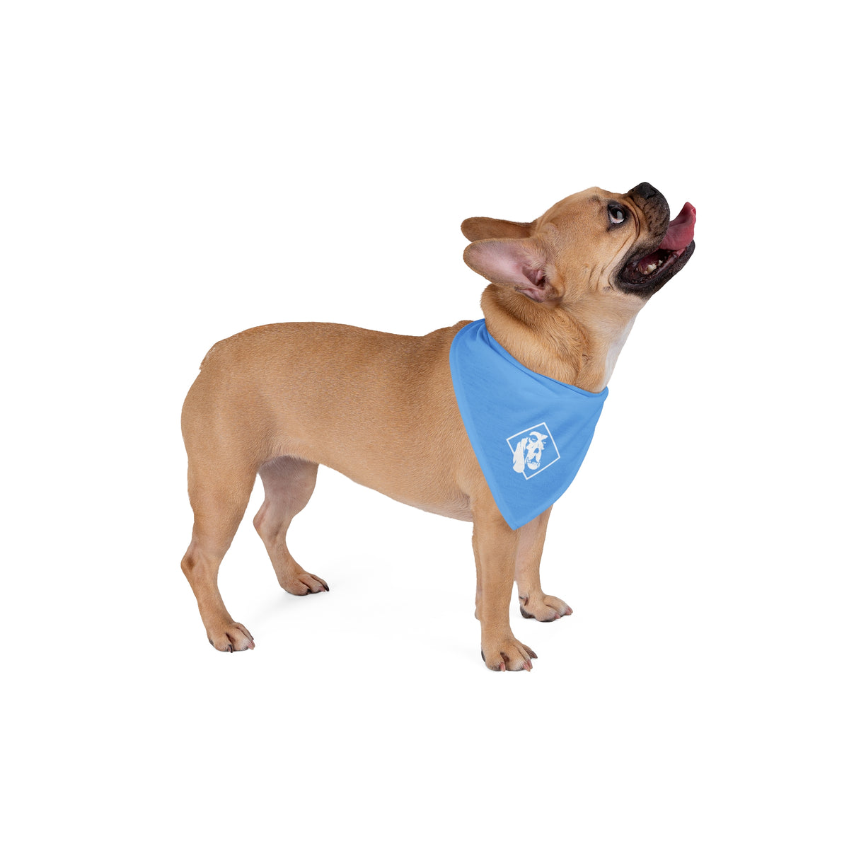 OL' BLUE | Field Bandana