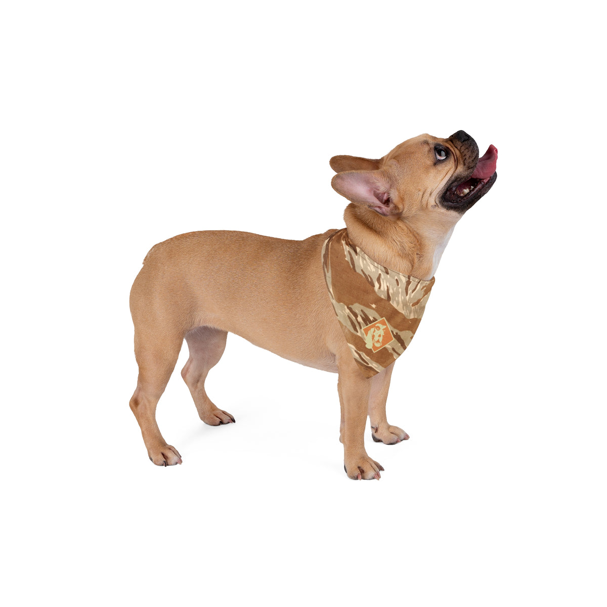 DTS | Canine Field Bandana