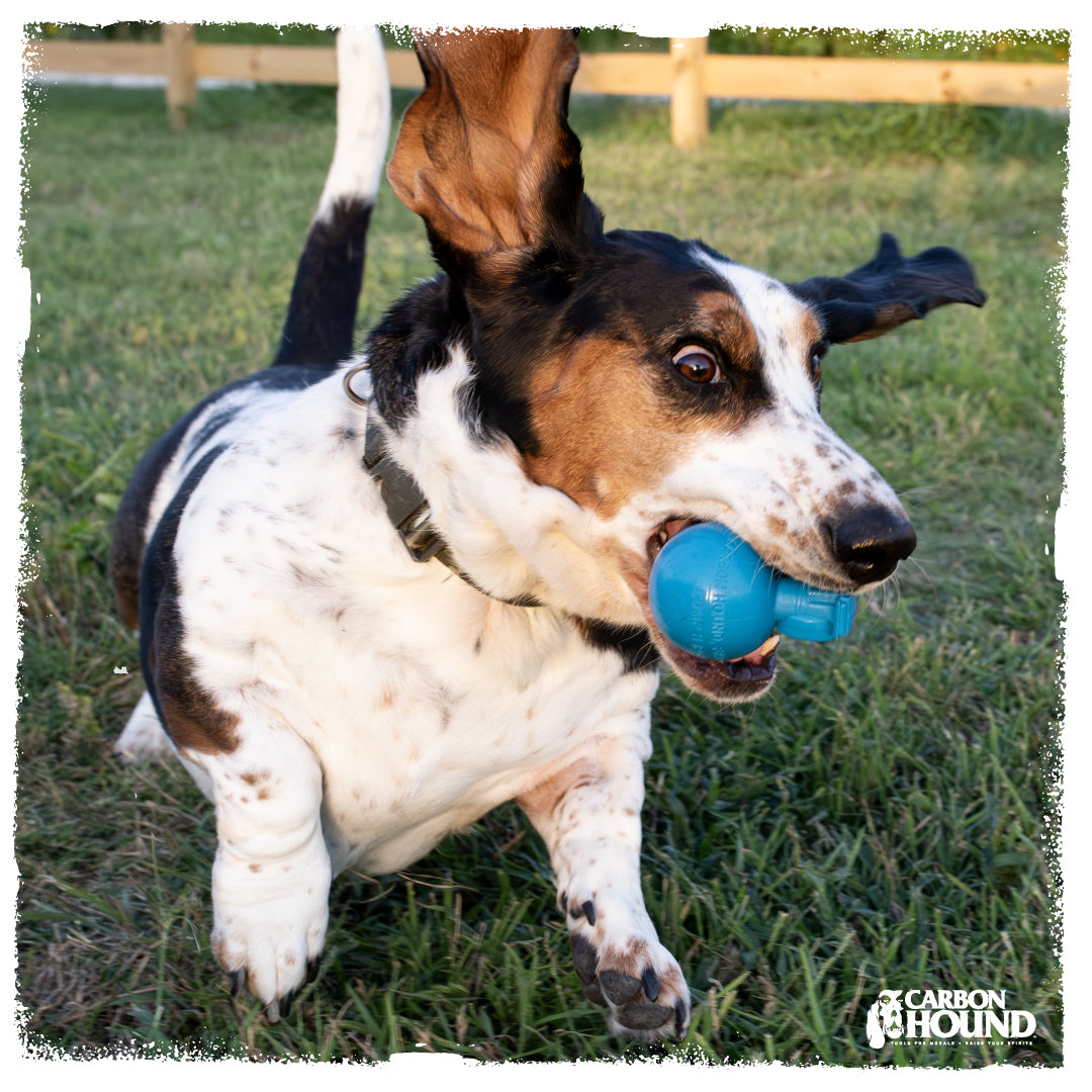Frag Munch - GLOW | CHOMP - Dog Toy Replica