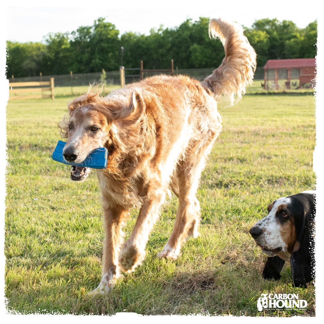 Mag Munch MKII | CHOMP - Dog Toy Replica
