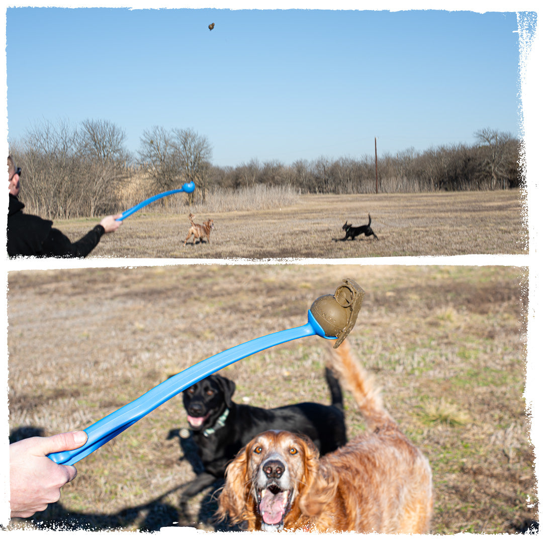 Frag Munch | CHOMP - Dog Toy Replica