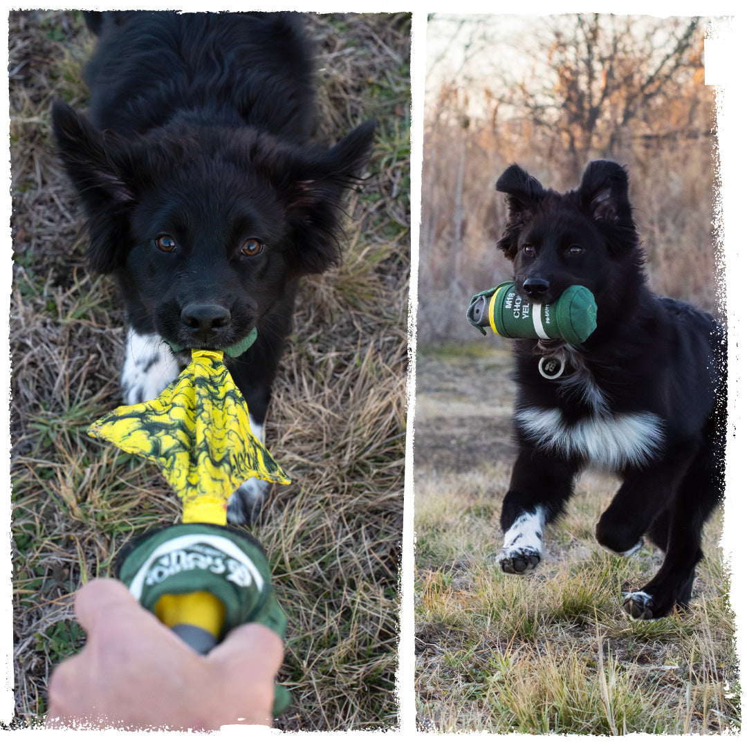 dog playing with a carbon hound mutt-19 m18 smoke grenade dog toy replica in a field