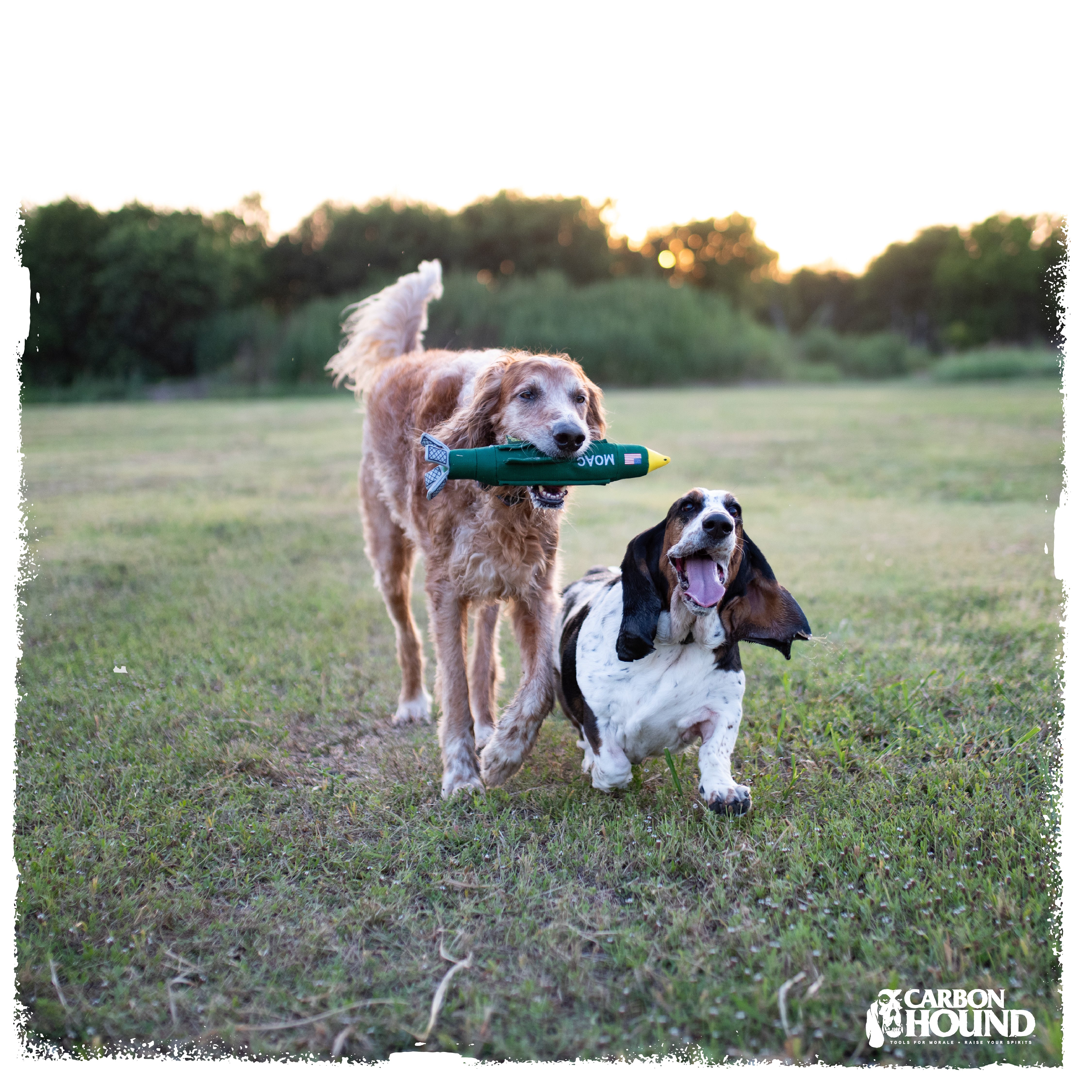 MOAC | MOAB Bomb Dog Toy