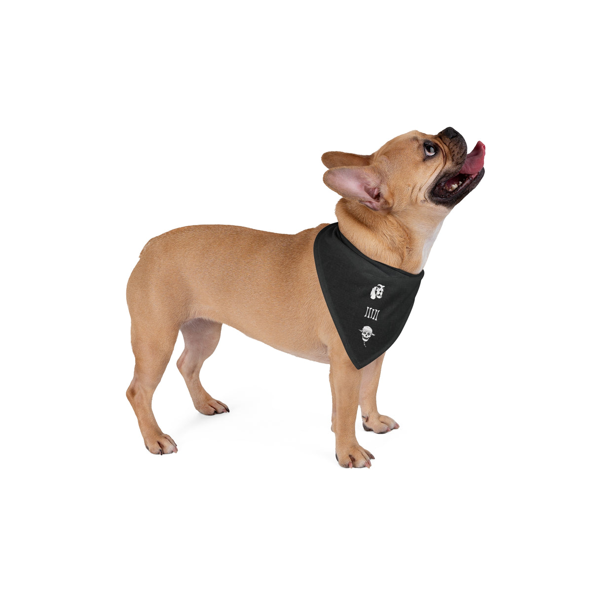CH SLAB | Canine Field Bandana