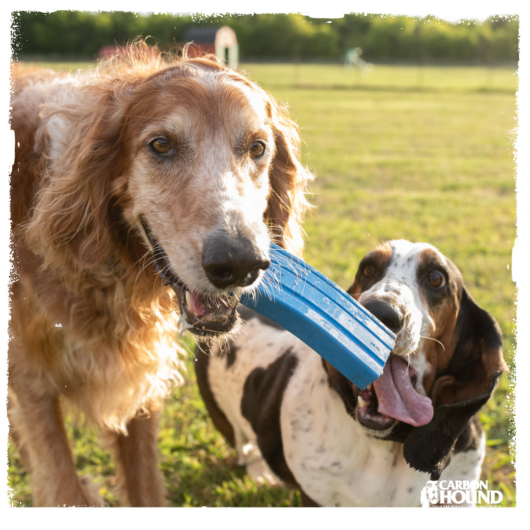 Mag Munch MKII | CHOMP - Dog Toy Replica