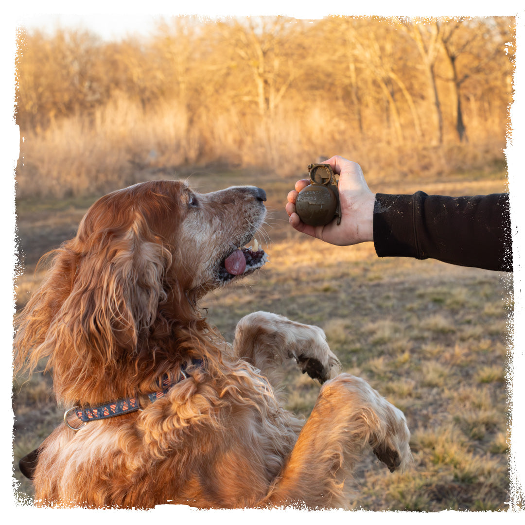 Frag Munch | CHOMP - Dog Toy Replica