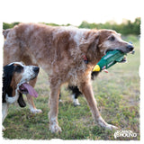 MOAC | MOAB Bomb Dog Toy