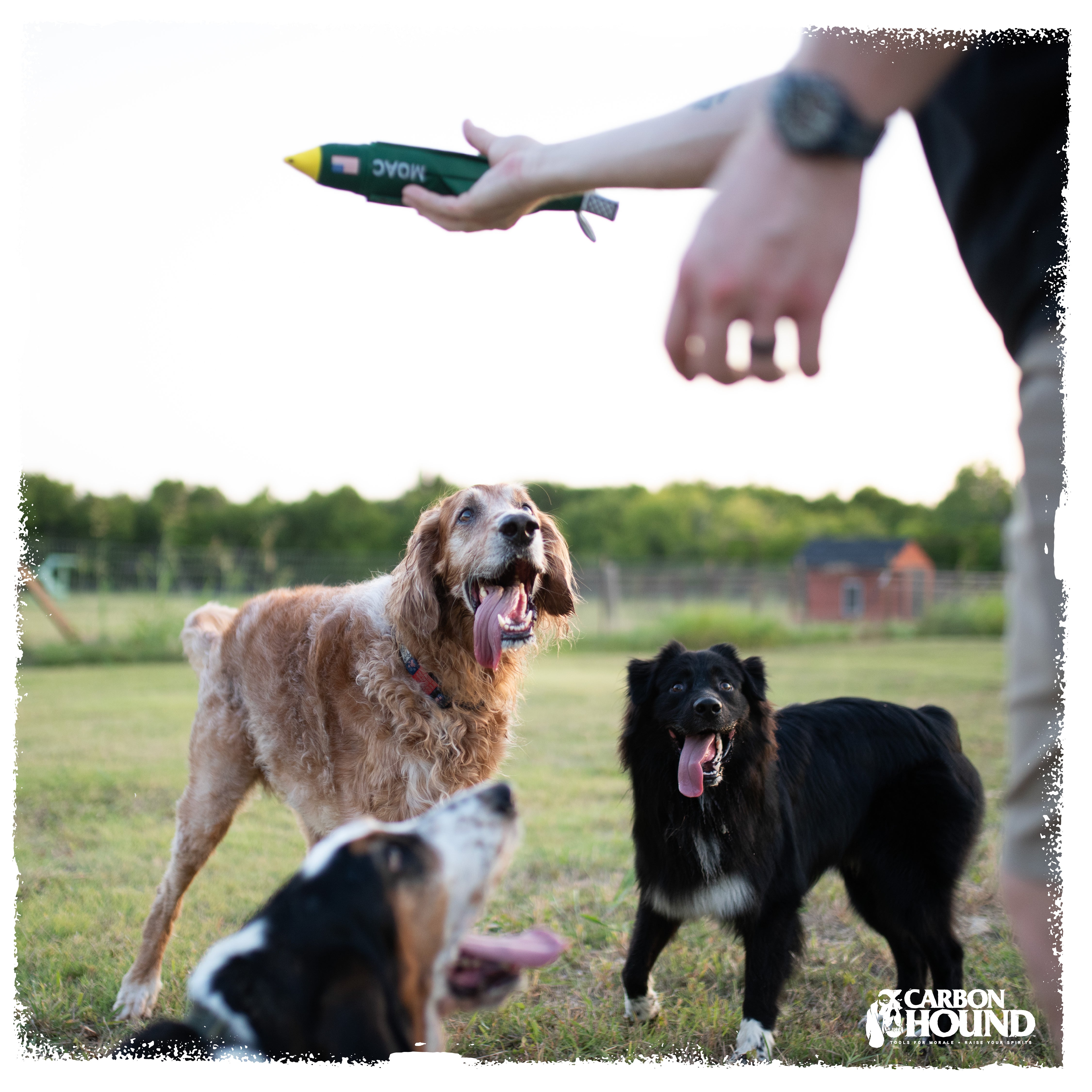 MOAC | MOAB Bomb Dog Toy