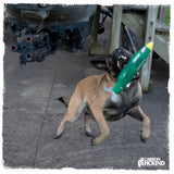MOAC | MOAB Bomb Dog Toy