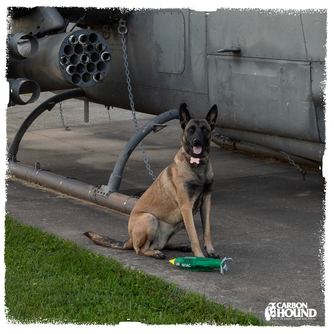 MOAC | MOAB Bomb Dog Toy