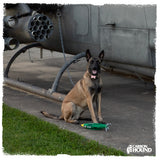 MOAC | MOAB Bomb Dog Toy