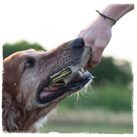 7-Mag Munch Loadout | CHOMP - Dog Toys