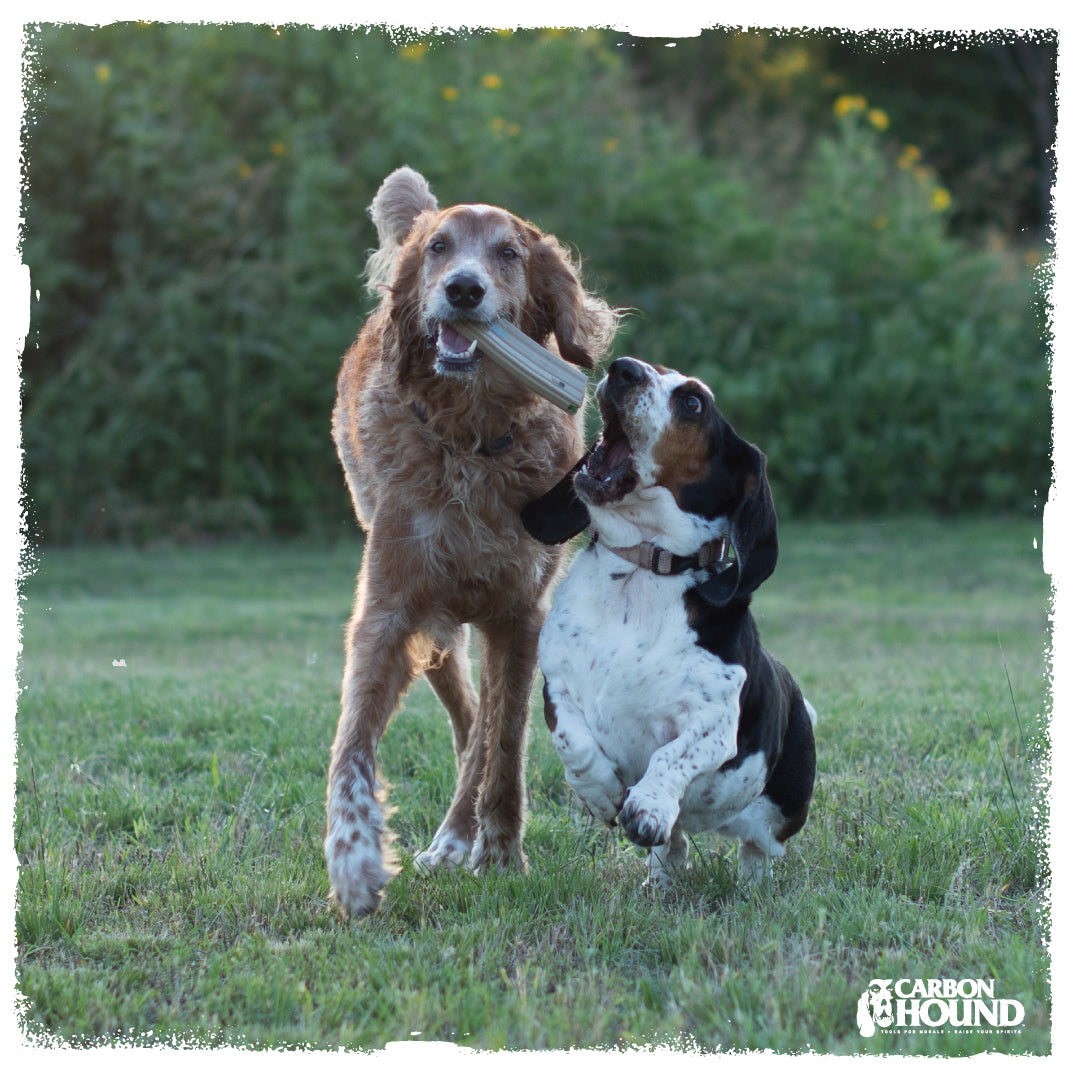 Mag Munch (2X) | CHOMP - Dog Toy Replicas