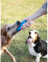 a dog takes a carbon hound mag munch blue dog magazine toy from a human hand while a basset hound is blurred in the background
