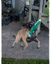 A belgian malinios dog jumps biting and holding a green carbon hound MOAC dog toy replica of a MOAB bomb. A military helicopter is visible in the background.